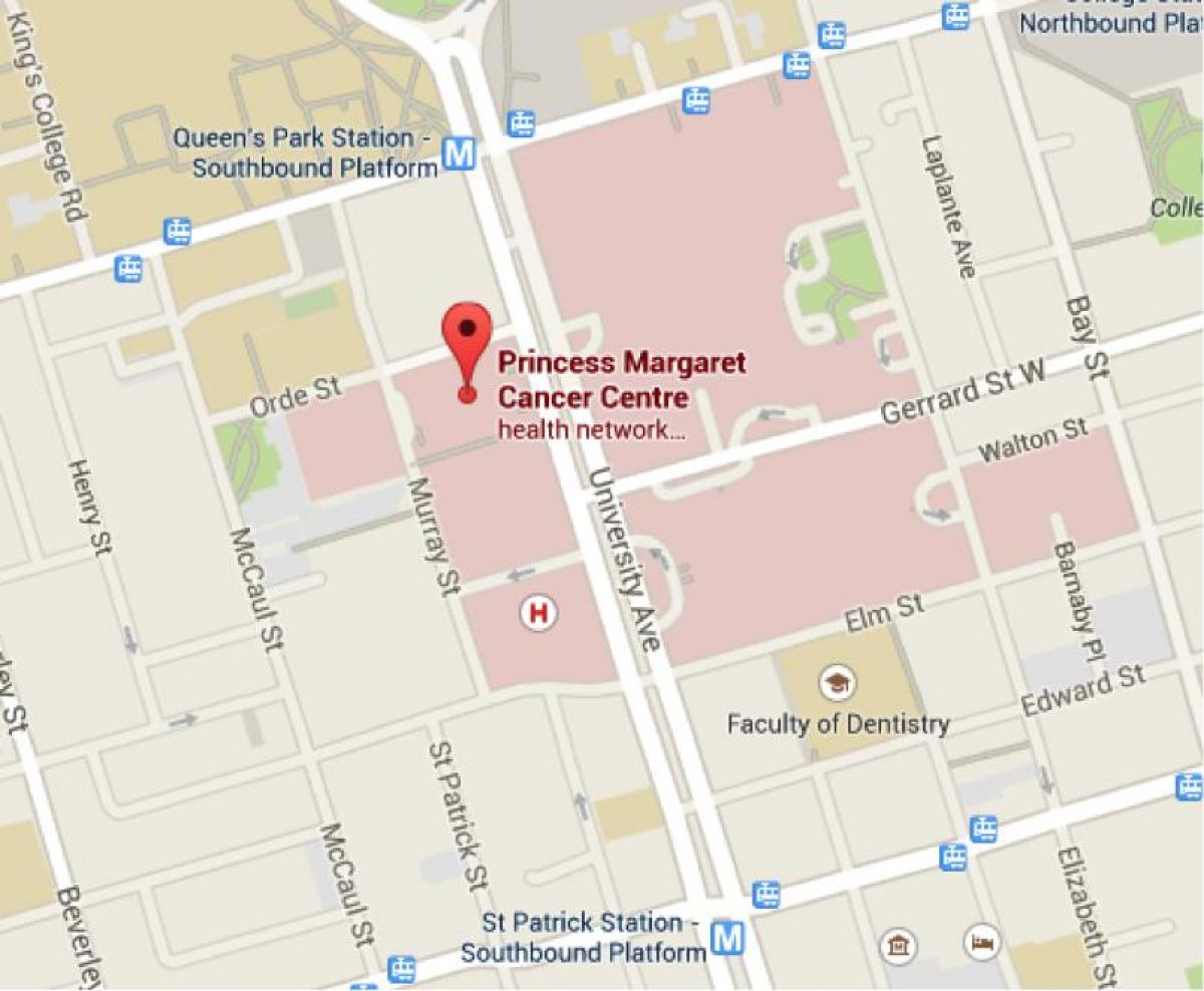 Mappa della Principessa Margaret Cancer Centre di Toronto