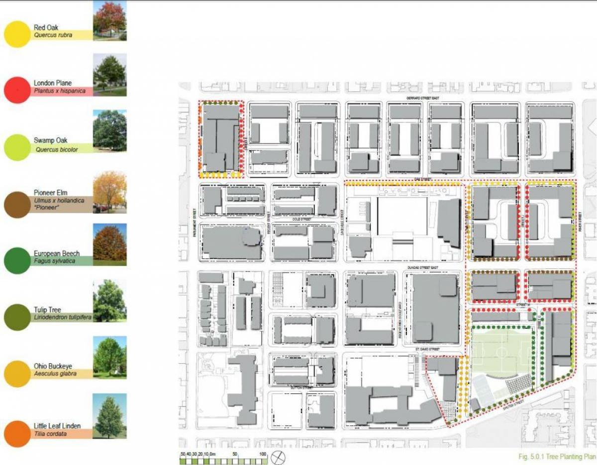 Mappa di piano di Rivitalizzazione di Regent Park di Toronto fase 3