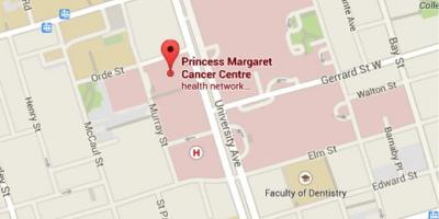 Mappa della Principessa Margaret Cancer Centre di Toronto