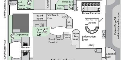 Mappa della Principessa Margaret Cancer Centre di Toronto piano principale