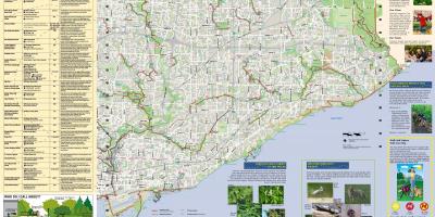 La mappa dei parchi e sentieri East Toronto