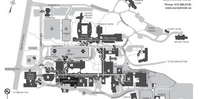 Mappa di Sunnybrook Health sciences centre - SHSC
